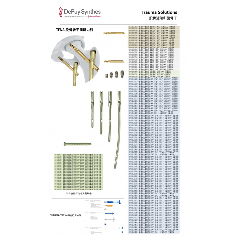  Proximal femur and femoral shaft 3