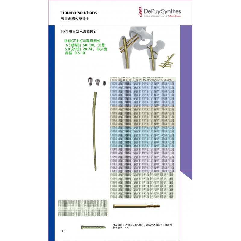 Proximal femur and femoral shaft 4