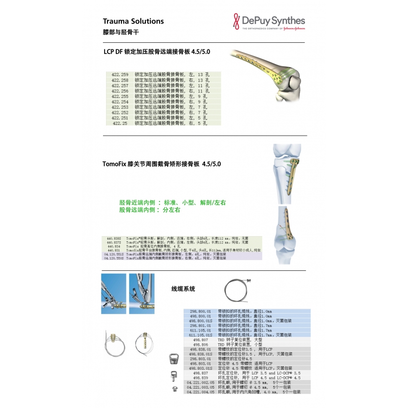 Knee joint and tibia 3