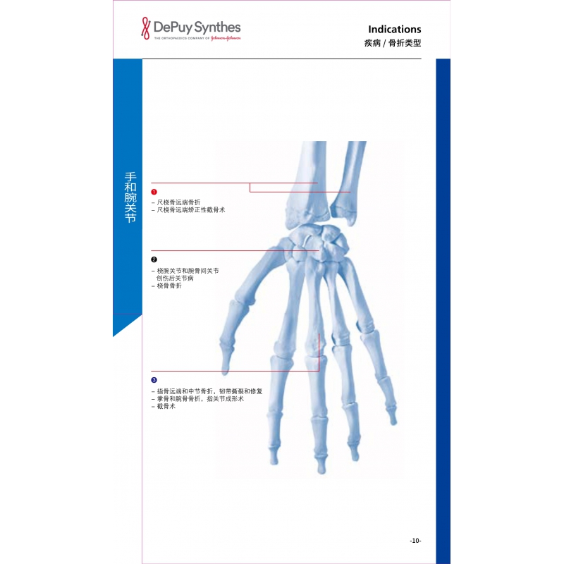 Hand and wrist joints 1